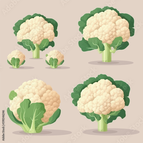Vector image of a sliced cauliflower