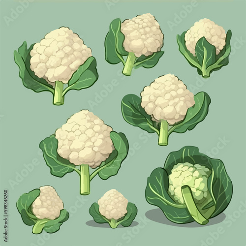 Cute cauliflower cartoon character with a chef's hat