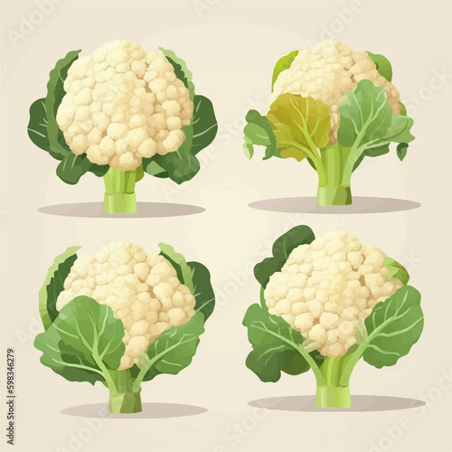 Set of colorful vector illustrations of cauliflower