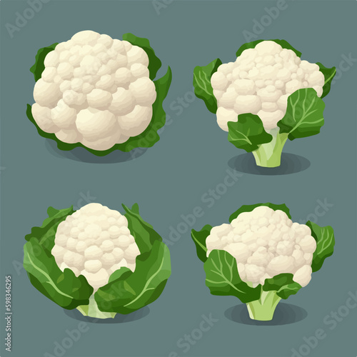 Vector image of a cauliflower head with a shadow