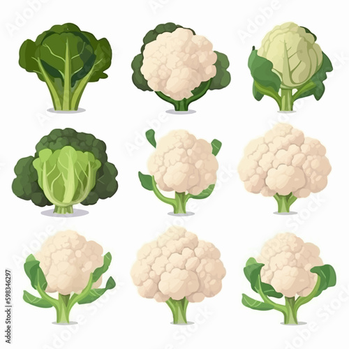 Cauliflower vegetable in a sketch style illustration