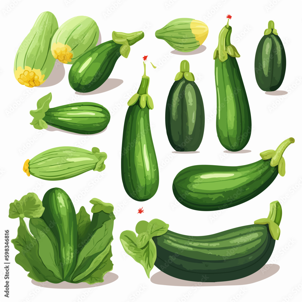 Vector graphic of a Courgette with a dotted line border Vector graphic of a Courgette with a dotted line border