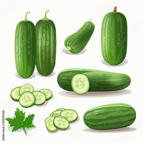 A set of colorful cucumber illustrations that will brighten up any design project.