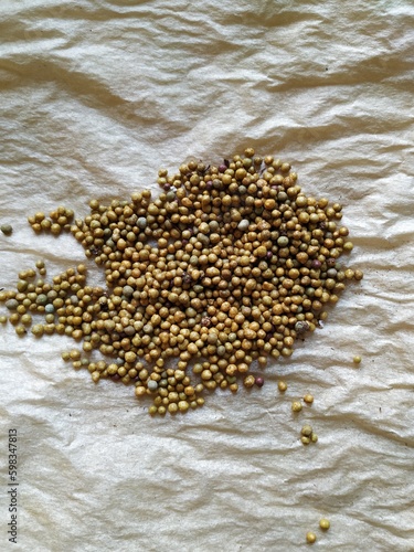 granular fertilizer close-up, long-acting fertilizer