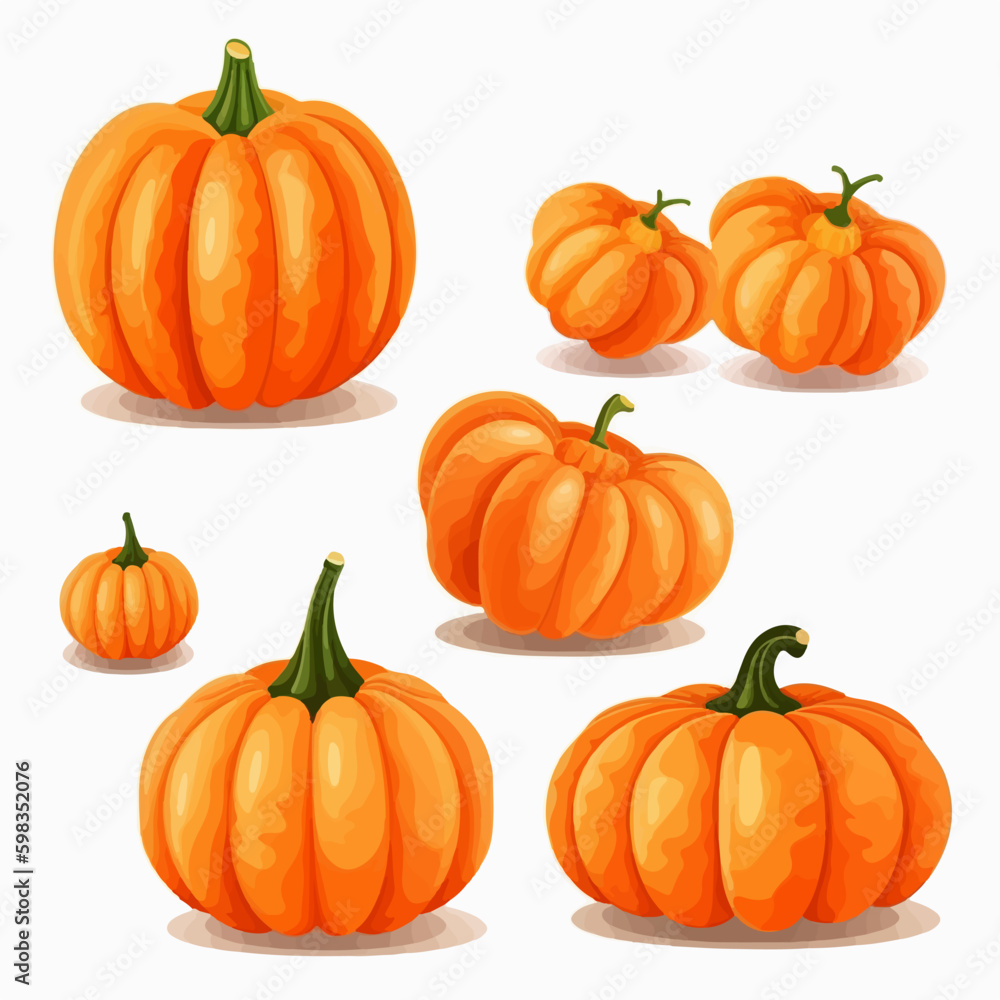 Set of vector illustrations capturing the different stages of pumpkin ...