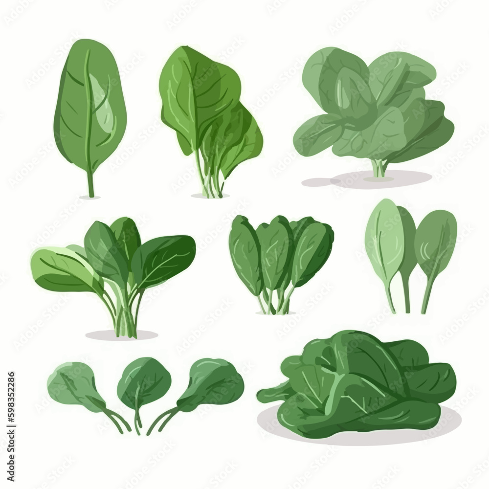 Add a touch of green to your designs with these realistic spinach vector images. Add a touch of green to your designs with these realistic spinach vector images.