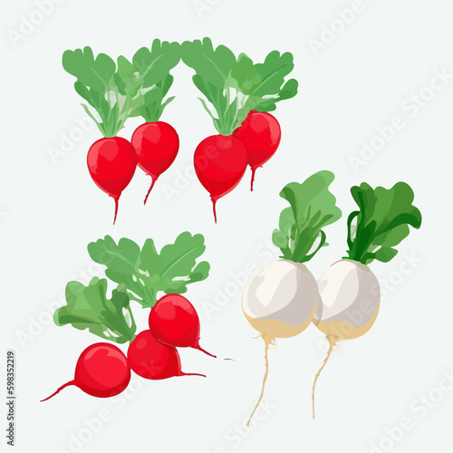 Create a retro-inspired design with this pack of vintage radish vector graphics.