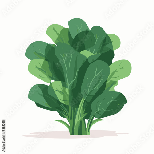 Set of vector illustrations featuring close-up views of the vibrant green texture of spinach leaves.