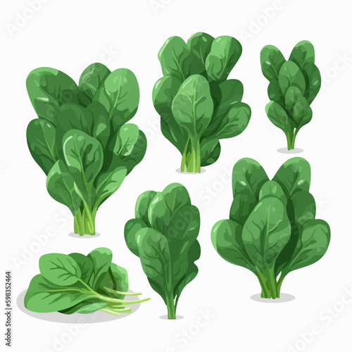 Add a touch of elegance to your packaging with these sophisticated spinach stickers in vector format.