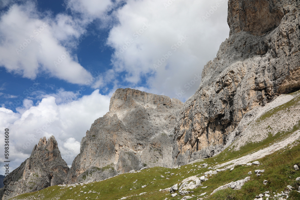 alpine panorama of the dolomite alps in italy in summer near the village of San martino di Castrozza