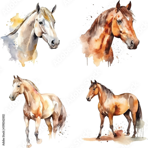 Horse watercolor paint collection