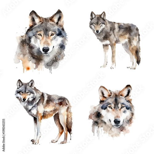 Gray Wolf watercolor paint collection