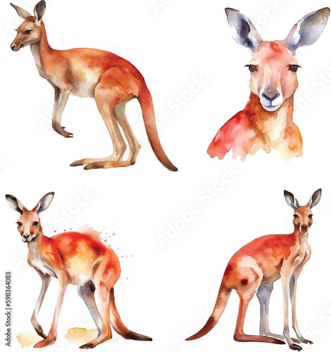  Red Kangaroo watercolor paint collection