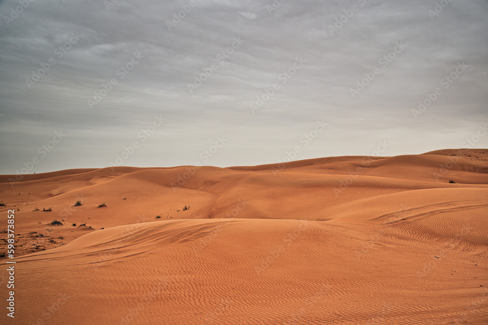 Desert, sand dunes