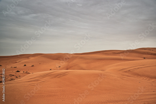 Desert  sand dunes