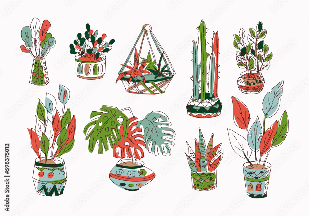 Indoor plants isolated vector colorful hand draw illustration collection Monstera, cactus, ficus, sansevieria, zamioculcas Potted houseplants
