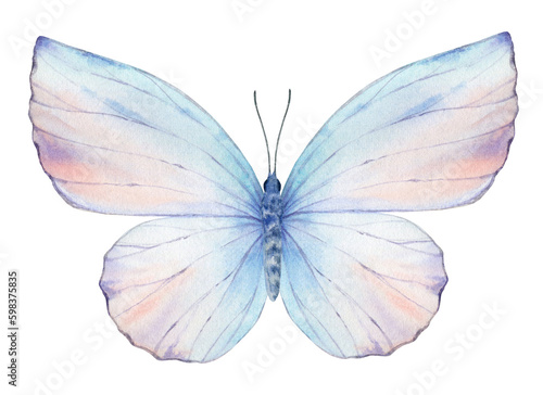 Vibrant hand painted watercolor butterfly illustration. Design for the decora...