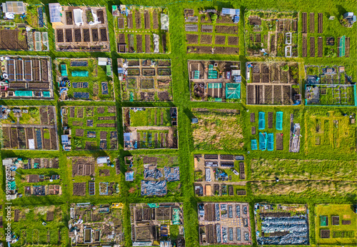 Fotografie Aerial view of vegetable allotments forming geometric pattern in spring weather