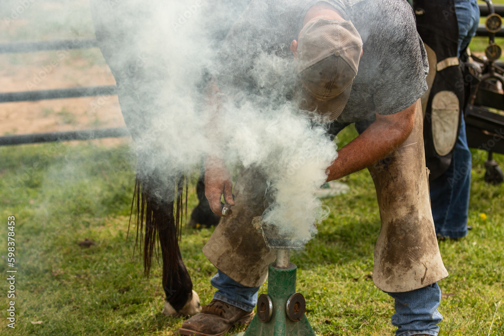 Fototapeta premium A Farrier hot shoeing a horse