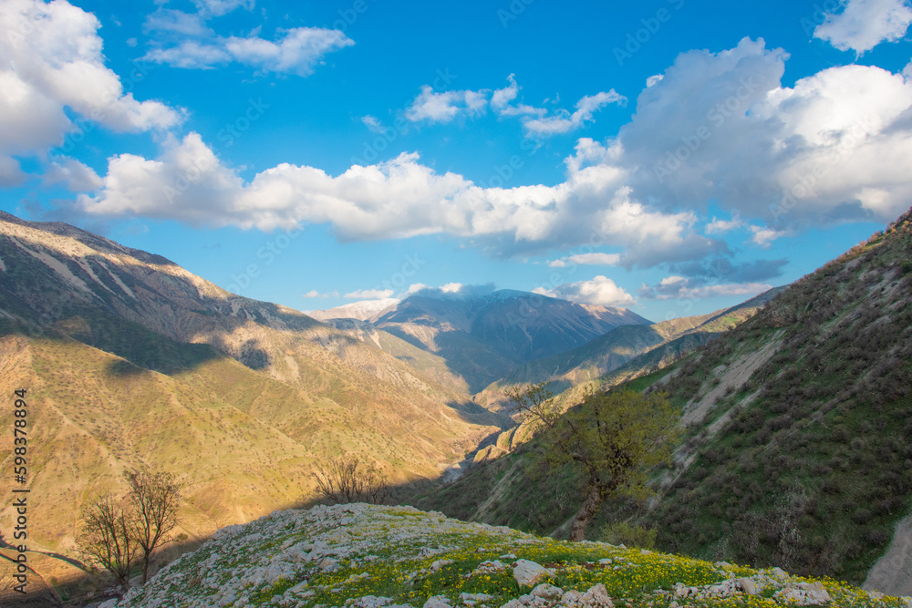 Obraz premium landscape with sky