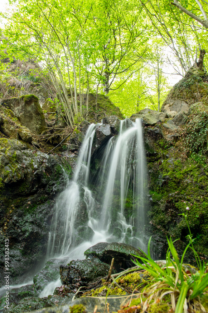 Fototapeta premium Waterfall 