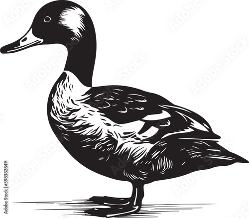 Duck, duck on the water, duck head, Vector Illustration, SVG