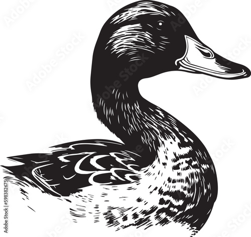 Duck, duck on the water, duck head, Vector Illustration, SVG