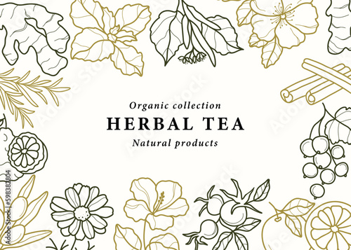 Line art herbal tea background