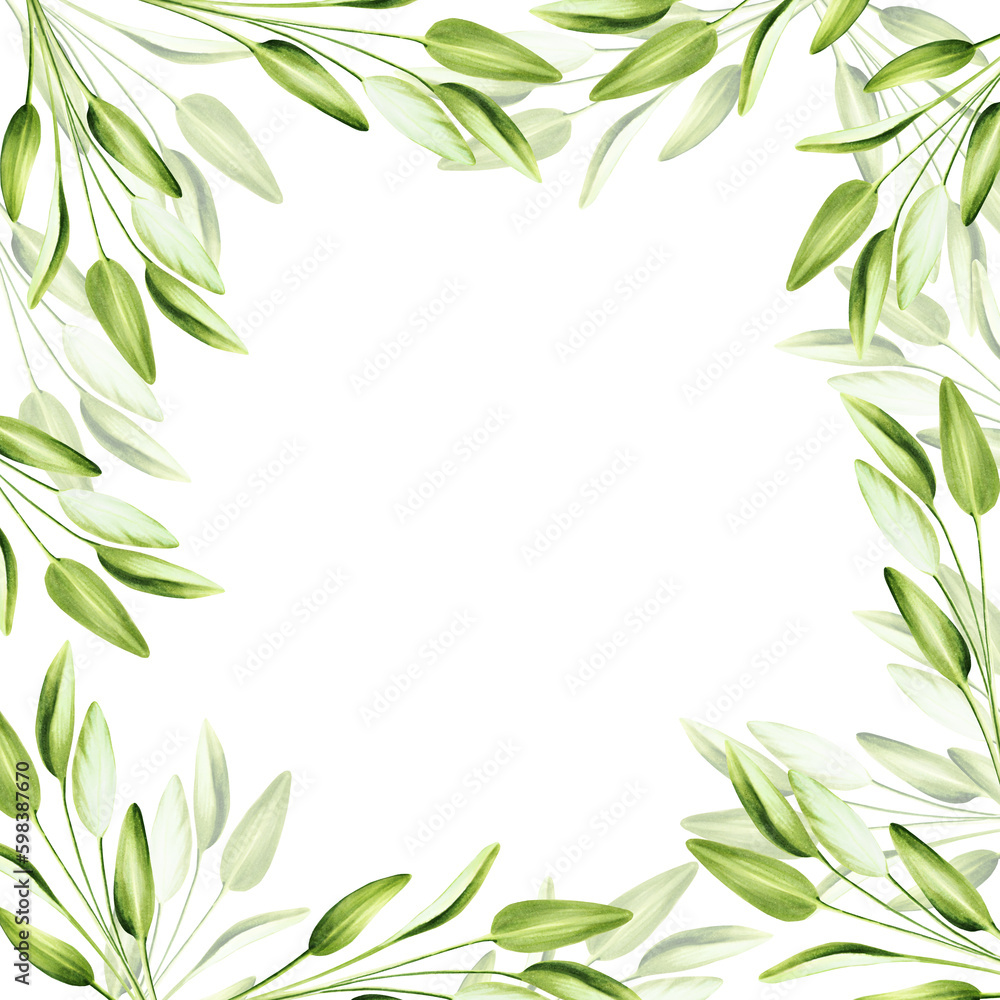 Watercolor frame with fresh sage isolated on background. Detail of beauty products and botany set, cosmetology and medicine. For designers, spa decoration, postcards, wrapping paper, scrapbooking