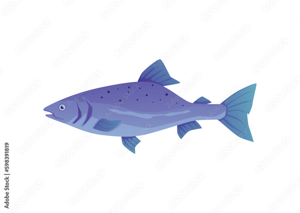 Fototapeta premium Salmon a valuable commercial fish species, flat vector illustration isolated.