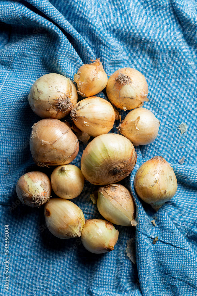 Obraz premium Pile of onions on a blue cloth background, top view