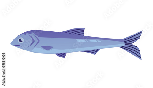 Anchovy small valuable shoaling fish  flat cartoon vector illustration isolated.