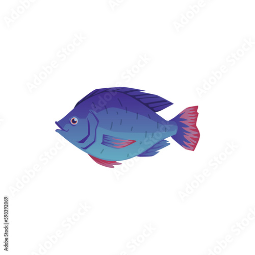 Cute tilapia fish, cartoon flat vector illustration isolated on white background.