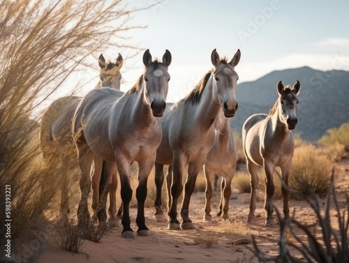 Group of Donkey in natural habitat  generative AI 