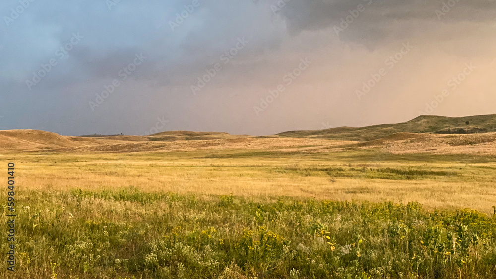 Wildlife Loop Road views during a storm in Custer State Park
