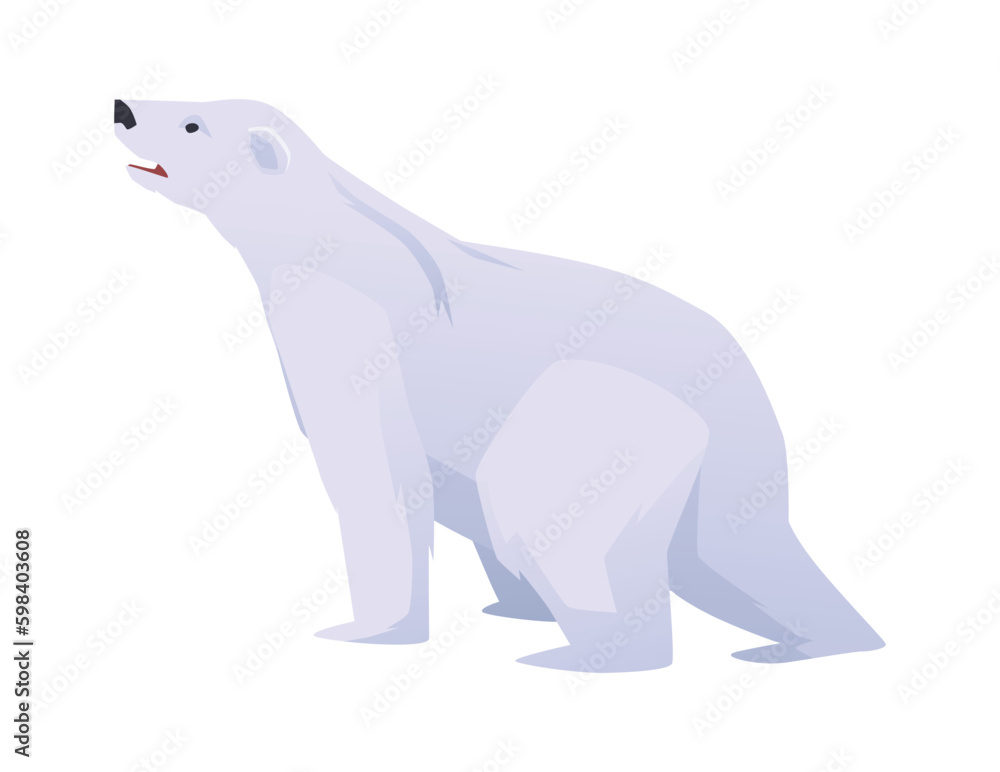 Polar white bear Arctic circle animal flat vector illustration isolated on white. Polar white bear Arctic circle animal flat vector illustration isolated on white.