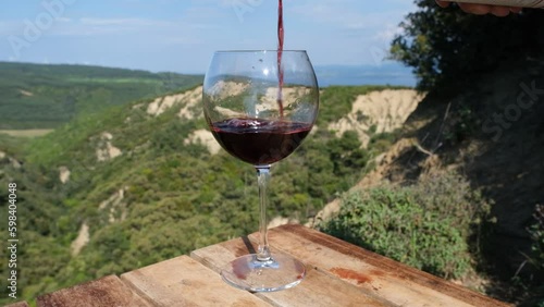 glass of red wine in vineyard