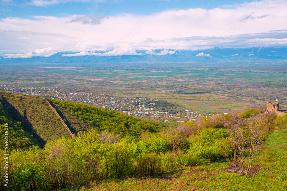 Vineyard valley in Kakheti region, Georgia. Alazani valley in spring, beautiful landscape. 