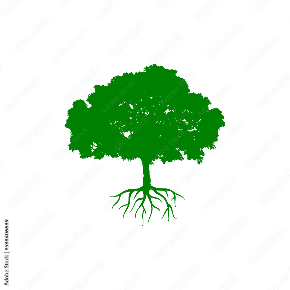 Obraz premium Tree with root icon isolated on transparent background