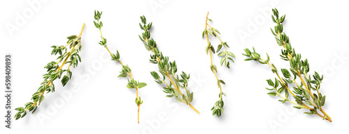 Mediterranean cuisine: set / collection of fresh thyme twigs in different positions over a transparent background, isolated herbs with subtle natural shadows, top view / flat lay
