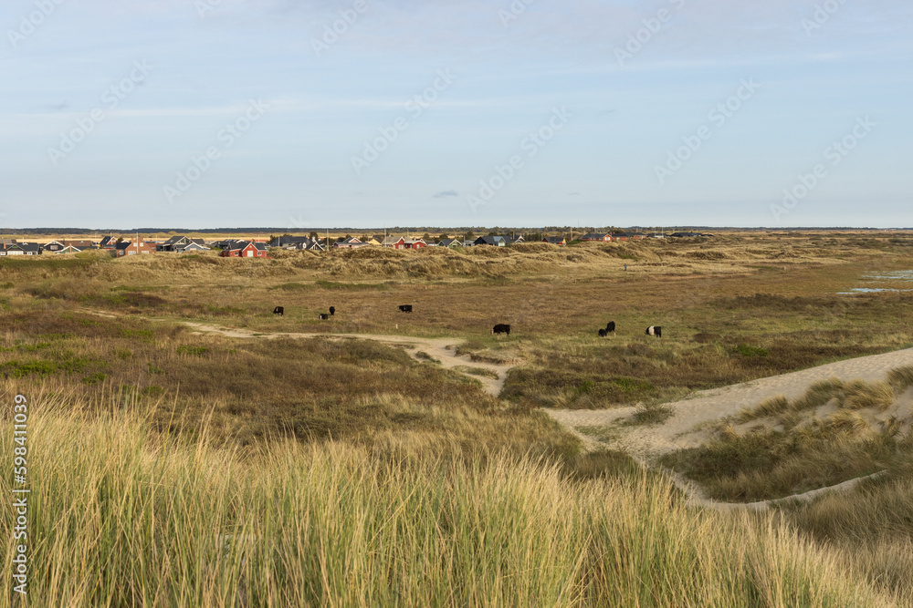 Fototapeta premium Blick auf Dünenladschaft und typische Holz Ferienhäuser auf der dänischen Nordseeinsel Rømø, Lakolk,
