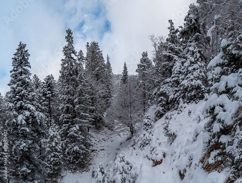 Snow Day Bavarian Mountain hike to the Herzogstand peak 