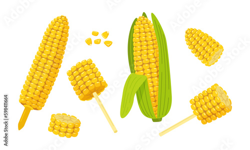 Set of sweet golden corn. Corn on the Cob, grains, cob on the holder, corn on a stick, corn slice, maize. Summer food vector illustration