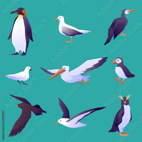 Different sea birds and seagulls collection flat vector illustration isolated.