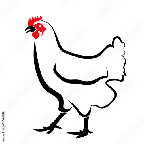 hen on white 