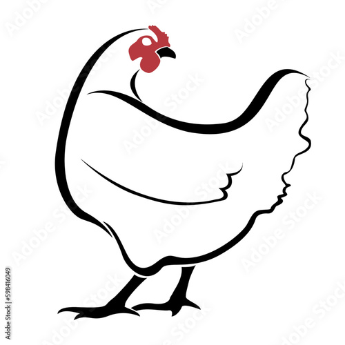 hen on white 