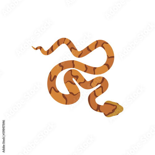 Copperhead snake, top view - flat vector illustration isolated on white background.