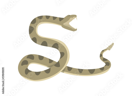 Diamondback rattlesnake preparing to attack flat style
