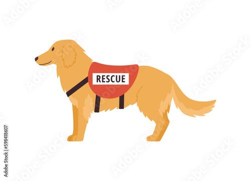 Search and rescue dog, flat vector illustration isolated on white background.