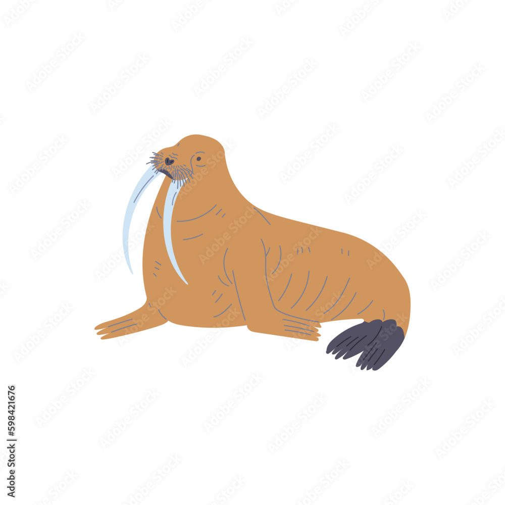Fototapeta premium Brown walrus arctic animal flat style, vector illustration